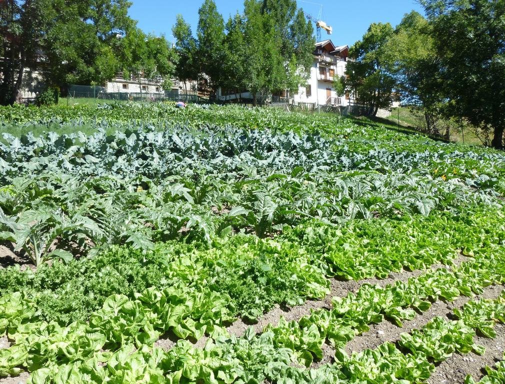 Agriturismo Barba Gust Cesana Torinese Buitenkant foto