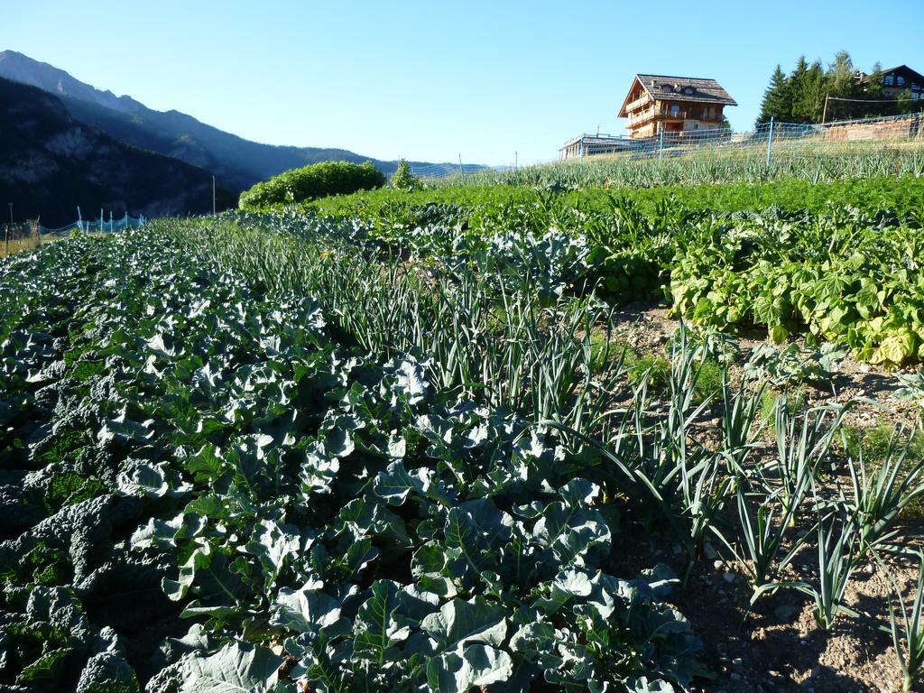 Agriturismo Barba Gust Cesana Torinese Buitenkant foto