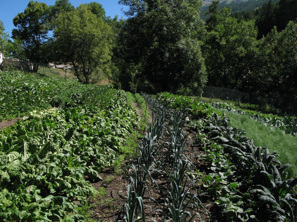 Agriturismo Barba Gust Cesana Torinese Buitenkant foto